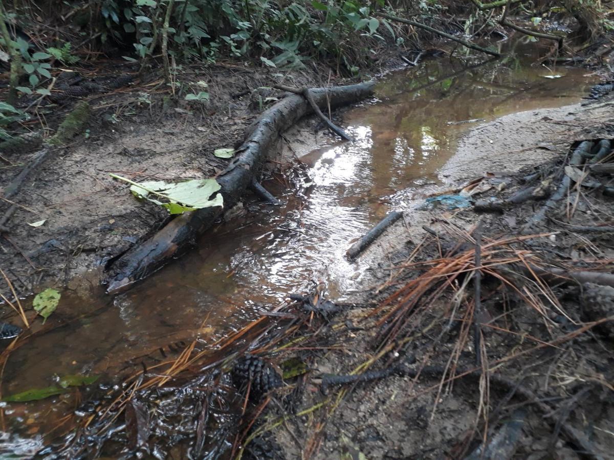 Penzion Chacara Chiafarelli São Roque Exteriér fotografie