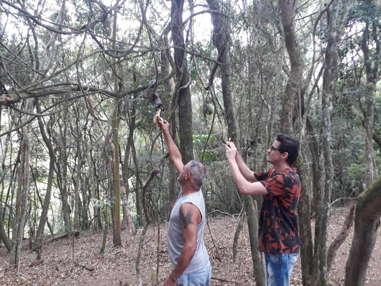 Penzion Chacara Chiafarelli São Roque Exteriér fotografie