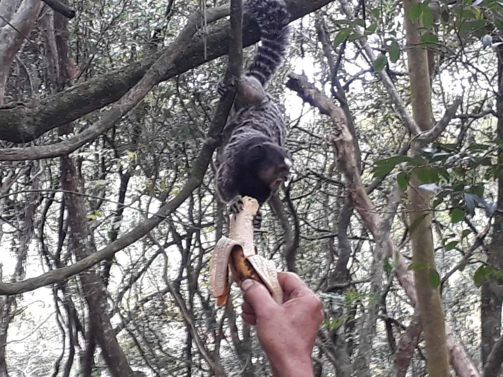 Penzion Chacara Chiafarelli São Roque Exteriér fotografie